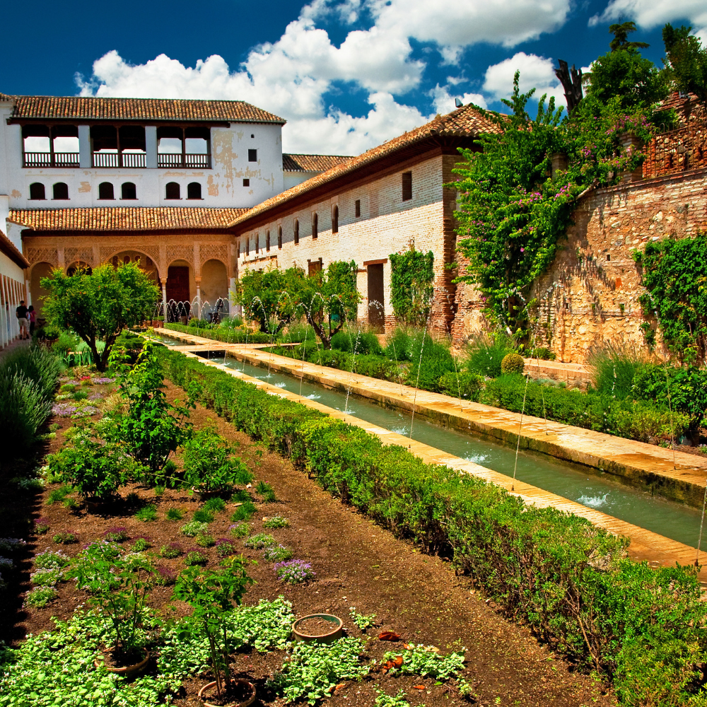 Té Negro Secretos De La Alhambra