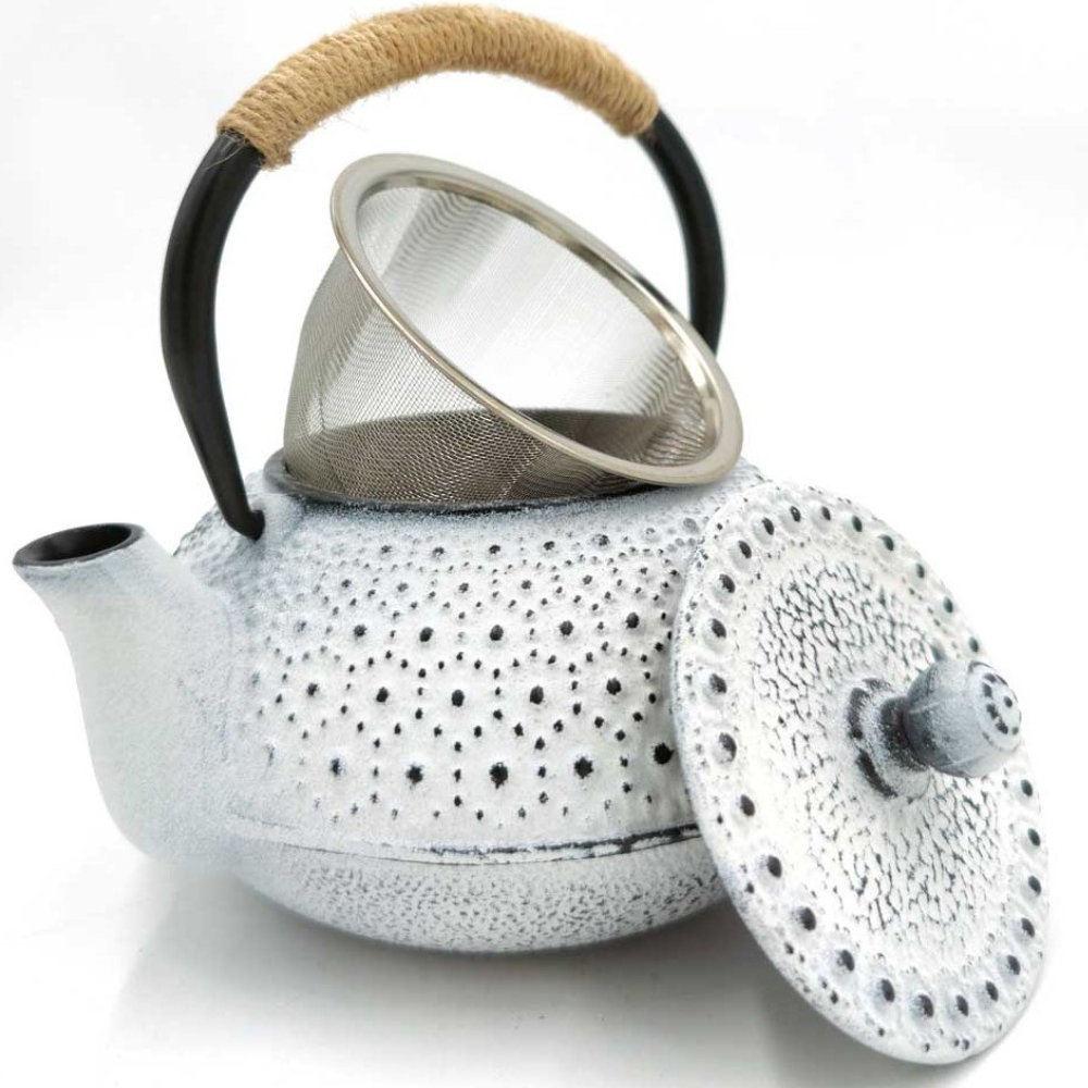 Tetera Hierro Fundido Estilo Japonesa Tetsubin con infusor inoxidable 600 ML