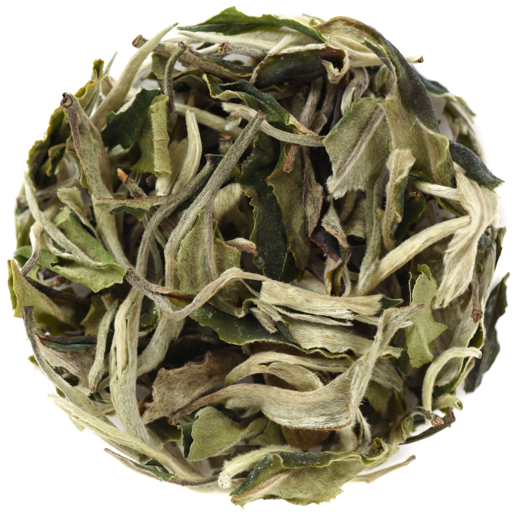 Té Blanco Pai Mu Tan Premium