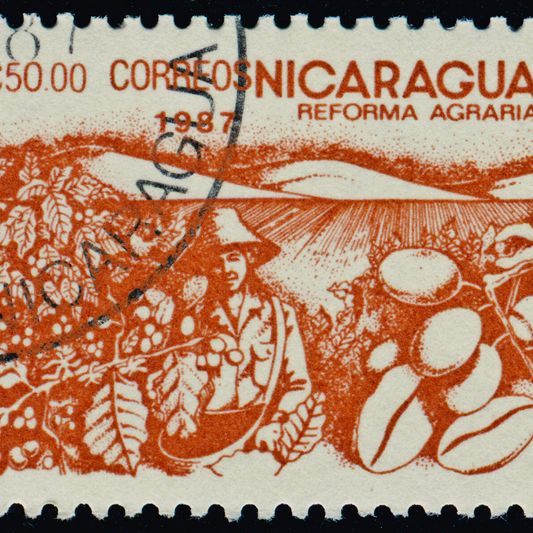Café Caracolillo da Nicarágua