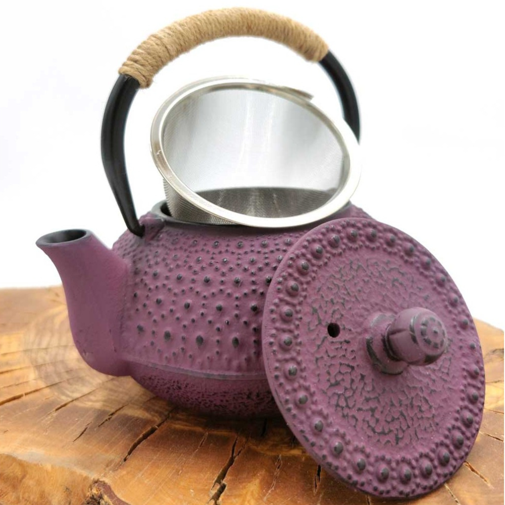 Tetsubin Japanese Style Cast Iron Teapot with Stainless Infuser 600 ML 