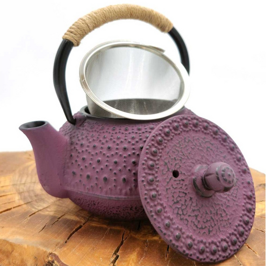 Tetsubin Japanese Style Cast Iron Teapot with Stainless Infuser 600 ML 