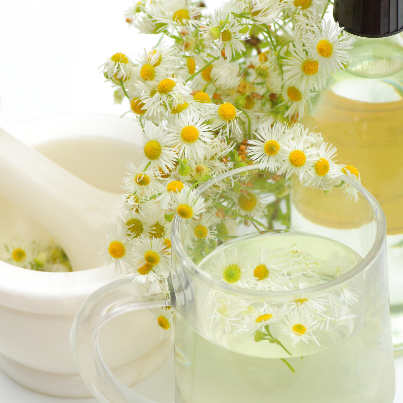 Bitter Chamomile Flower 