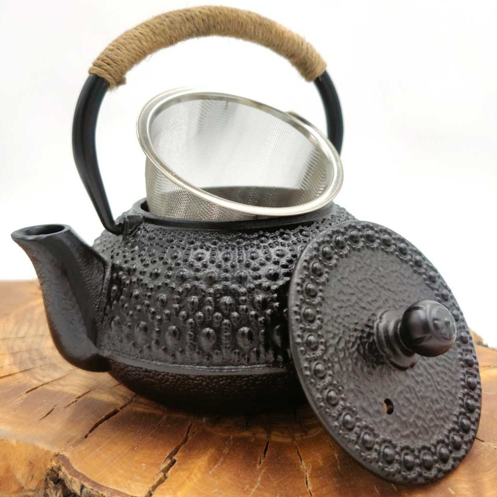 Tetsubin Japanese Style Cast Iron Teapot with Stainless Infuser 600 ML 