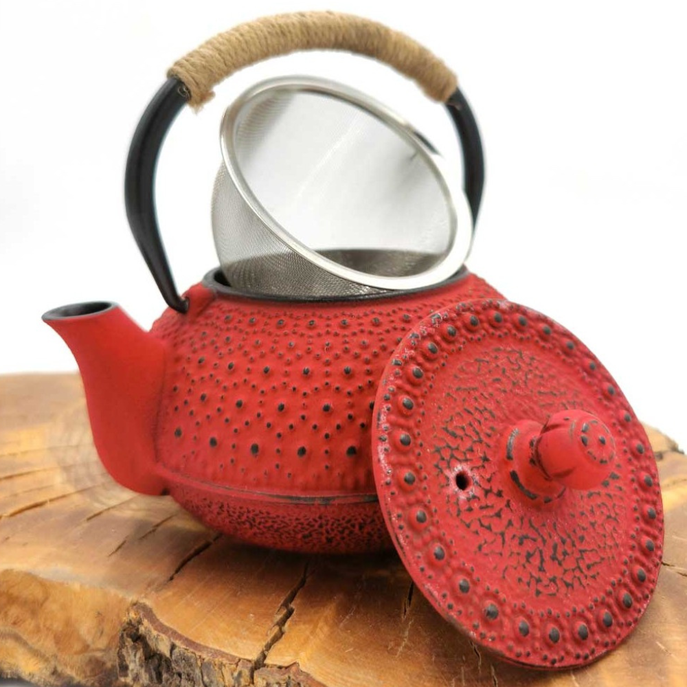 Tetsubin Japanese Style Cast Iron Teapot with Stainless Infuser 600 ML 