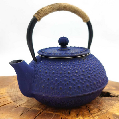 Tetsubin Japanese Style Cast Iron Teapot with Stainless Infuser 600 ML 