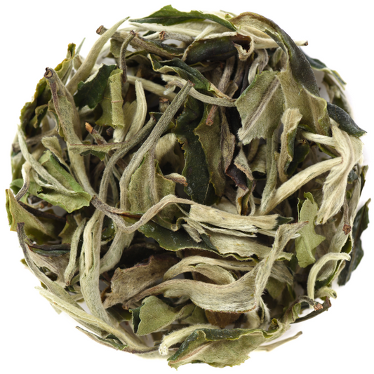 Chá Branco Premium Pai Mu Tan